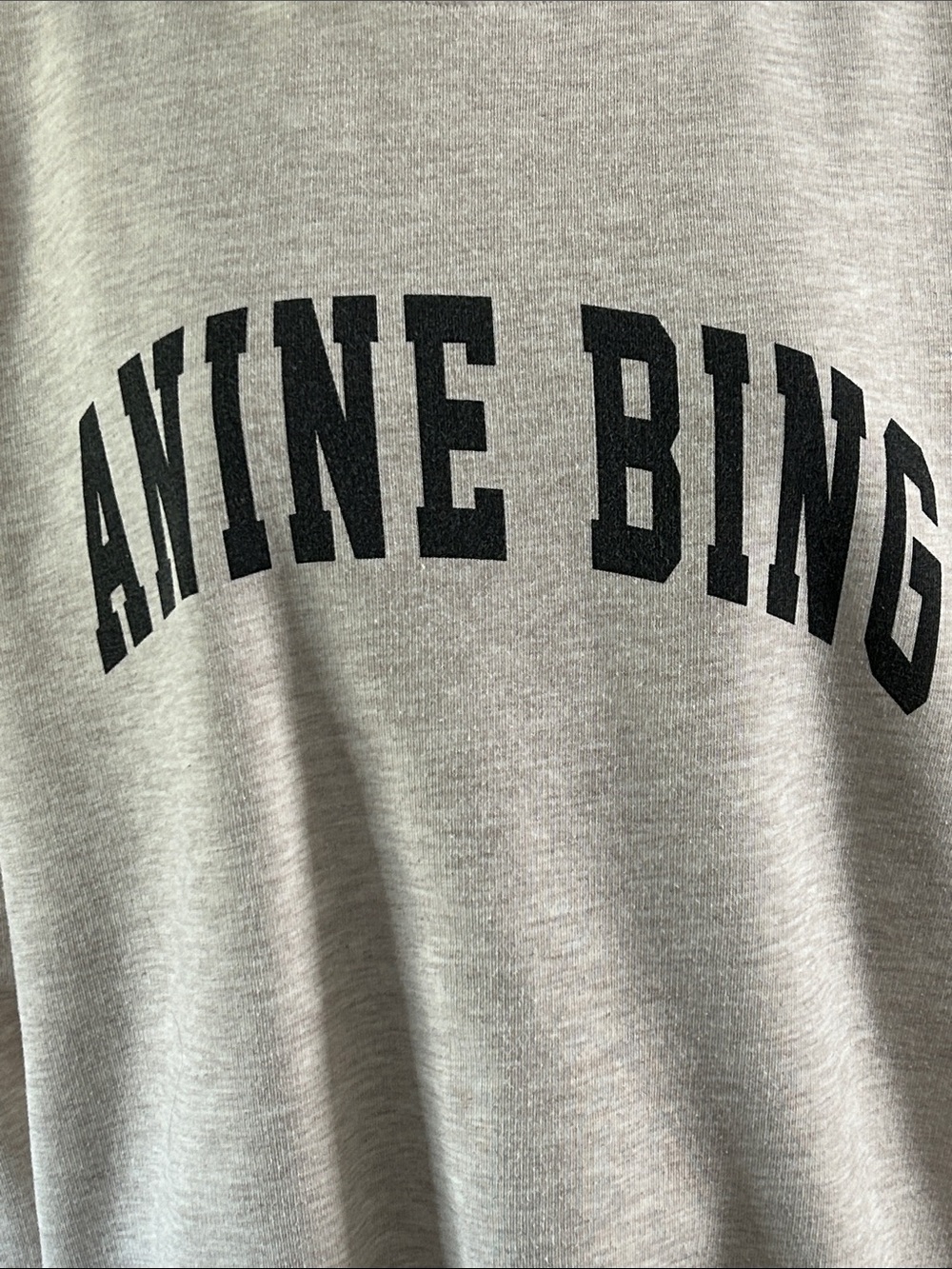 Anine Bing Oversized Logo Sweatshirt | Oatmeal Heather | Size S | Cozy Luxury - Picture 4 of 11